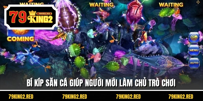 Bí kíp săn cá giúp người mới làm chủ trò chơi