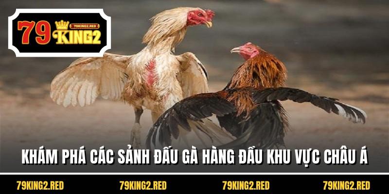 Khám phá các sảnh đấu gà hàng đầu khu vực châu Á