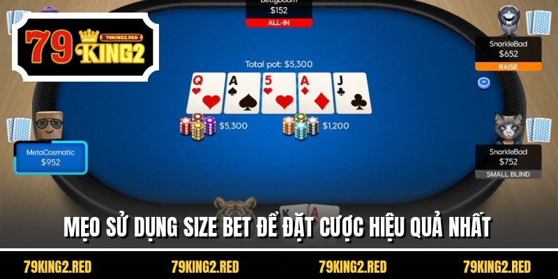 Mẹo sử dụng size bet để đặt cược hiệu quả nhất