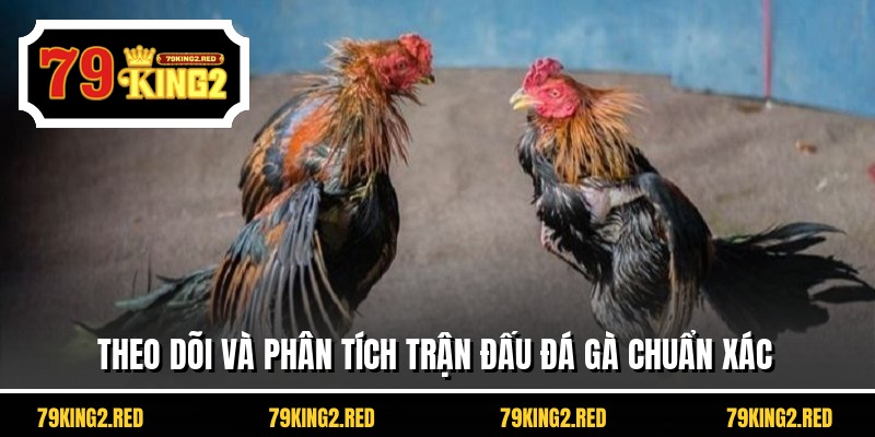 Theo dõi và phân tích trận đấu đá gà chuẩn xác