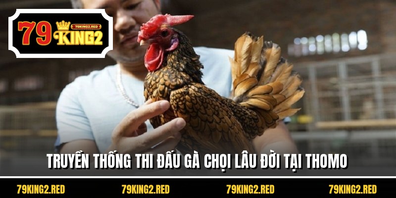 Truyền thống thi đấu gà chọi lâu đời tại Thomo